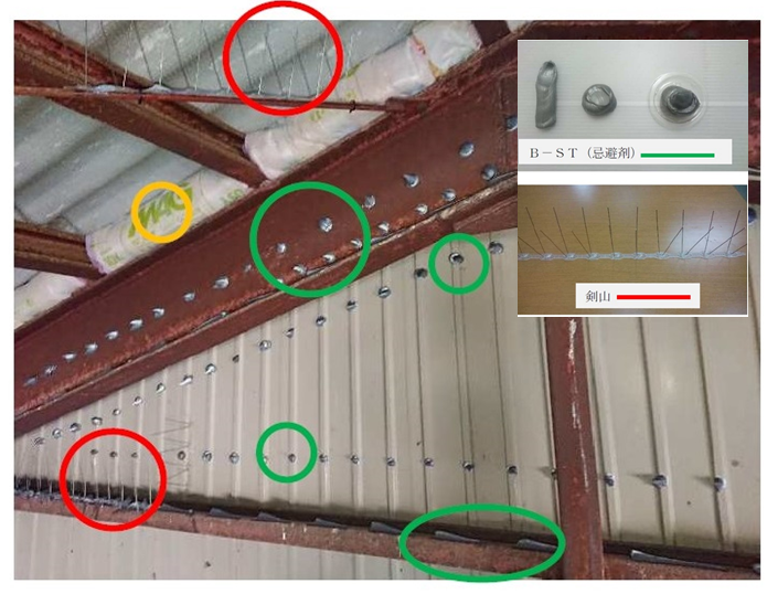安全対策　鳩飛来防止施工